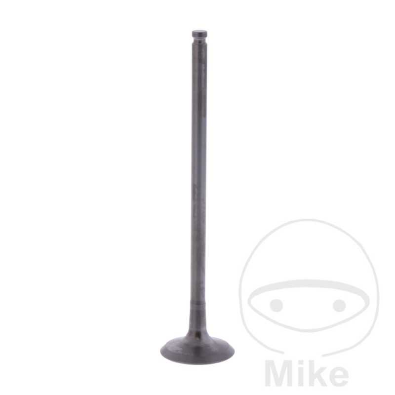 Scape valve OEM 747.16.55