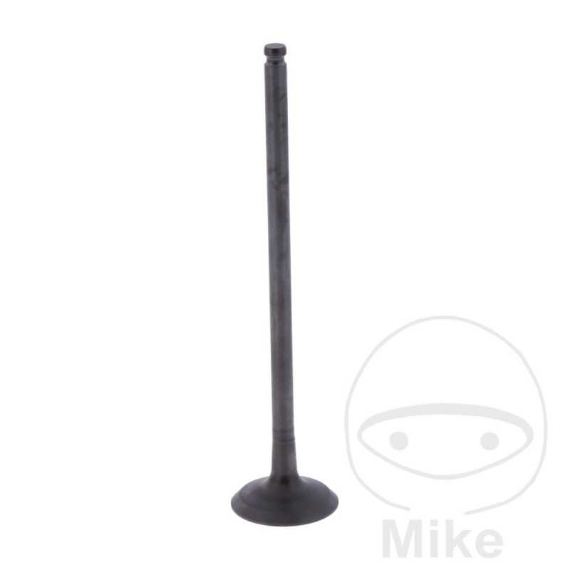 Scape valve OEM 747.16.57