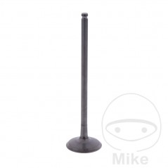 Scape valve OEM 747.16.60