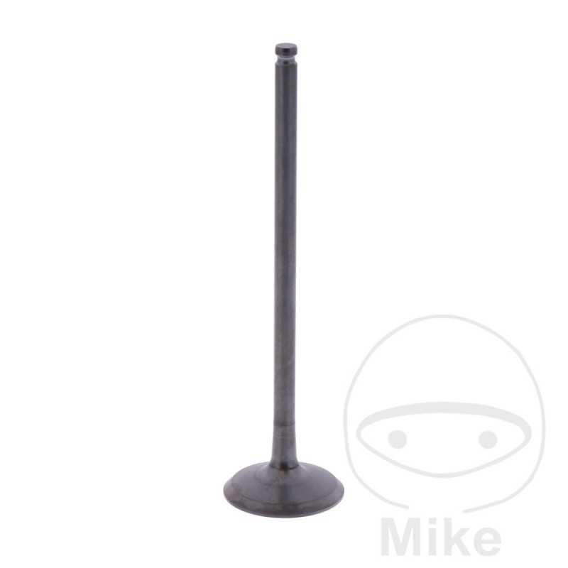 Scape valve OEM 747.16.60