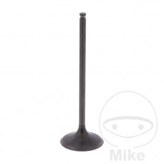 Admission valve OEM 747.16.72