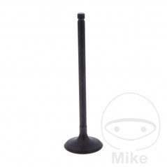 Admission valve OEM 747.16.73