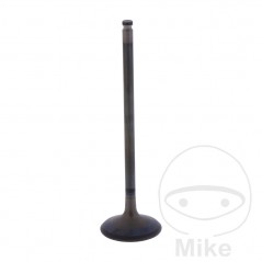 Admission valve OEM 747.17.00