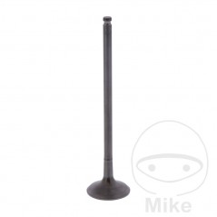 Scape valve OEM 747.17.01