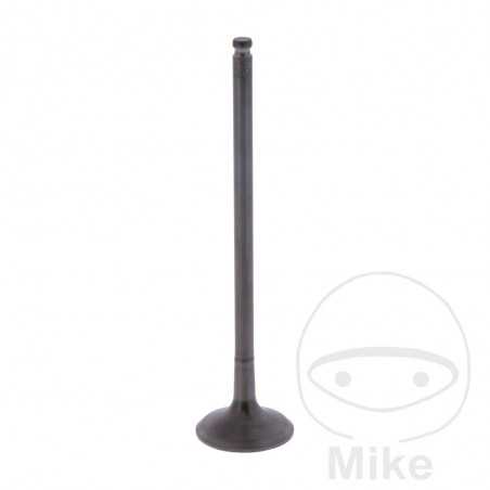 Scape valve OEM 747.17.01