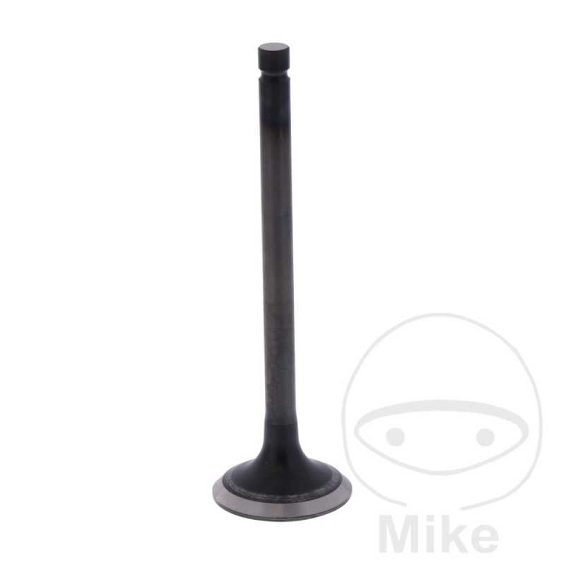 Scape valve OEM 747.17.03