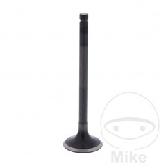 Scape valve OEM 747.17.07