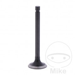 Scape valve OEM 747.17.35