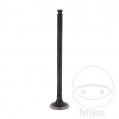Scape valve OEM 747.17.42