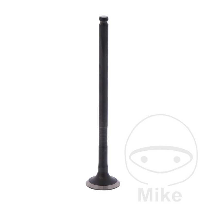 Scape valve OEM 747.17.42