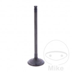 Scape valve OEM 747.17.56