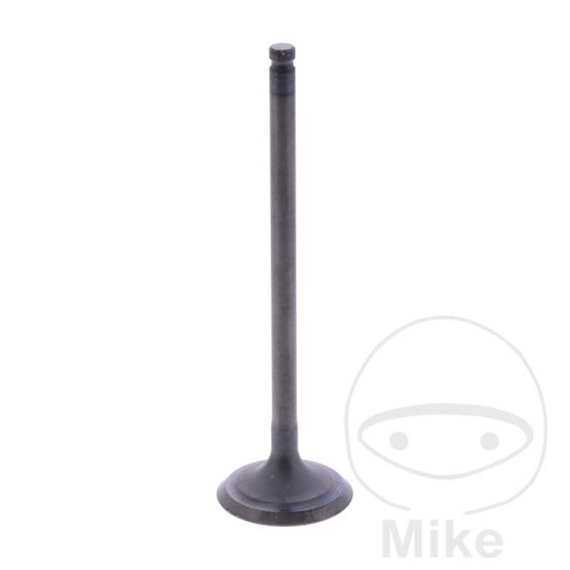 Scape valve OEM 747.17.56