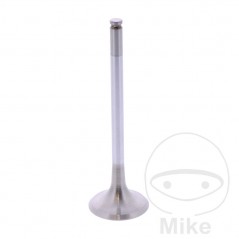 Scape valve OEM 747.17.57