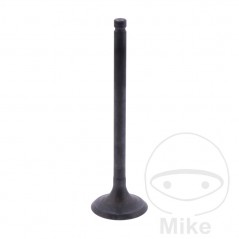 Scape valve OEM 747.17.58