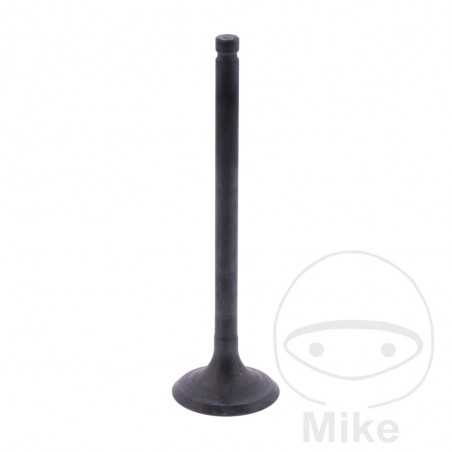 Scape valve OEM 747.17.58