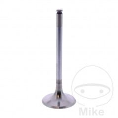 Admission valve OEM 747.17.66