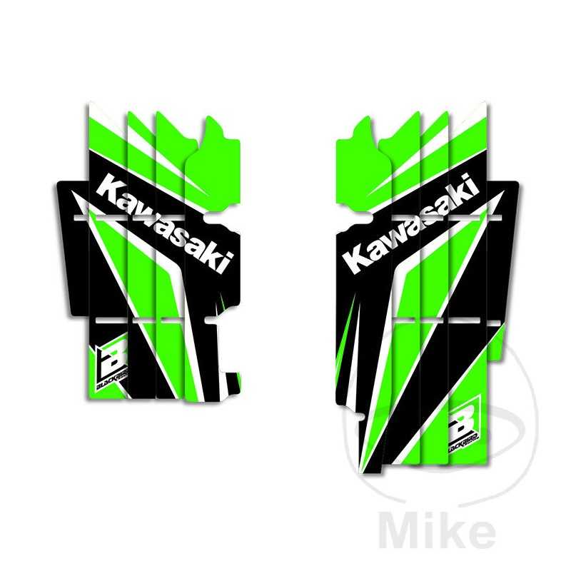 BLACKBIRD RACING Adhesivos protectores de horquilla DREAM 4 711.20.94