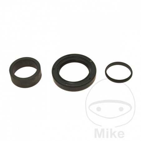 ALL BALLS Output gear repair kit 734.07.16
