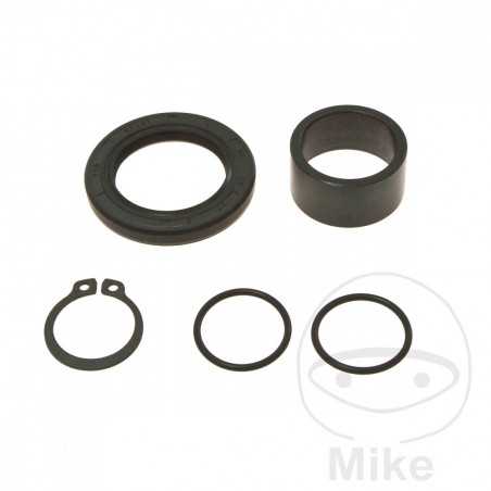 ALL BALLS Output gear repair kit 734.07.23