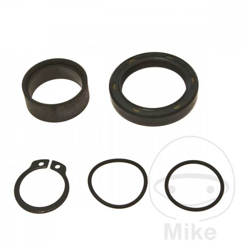 ALL BALLS Output gear repair kit 734.07.24