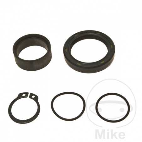 ALL BALLS Output gear repair kit 734.07.24