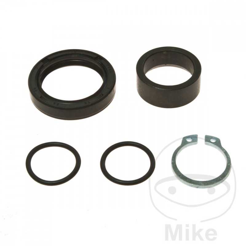 ALL BALLS Output gear repair kit 734.07.29