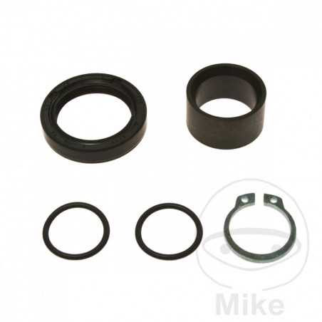ALL BALLS Output gear repair kit 734.07.32