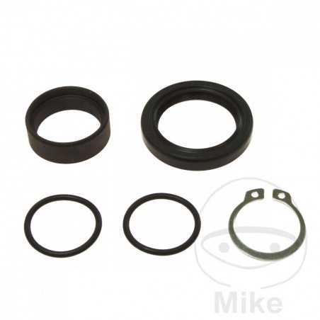 ALL BALLS Output gear repair kit 734.07.37