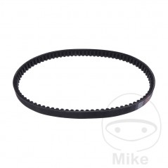 standard drive belt JTBELT 755.05.19