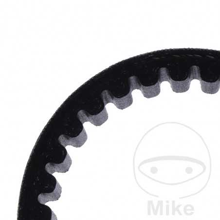 standard drive belt JTBELT 755.05.19