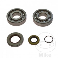 ALL BALLS Set of crankshaft bearings with seals 756.01.01
