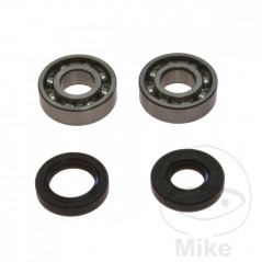 ALL BALLS Set of crankshaft bearings with seals 756.01.63