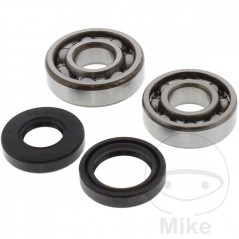 TOURMAX Set of crankshaft bearings with seals ALTN: 7560165 756.04.51