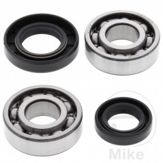 ALL BALLS Set of crankshaft bearings with seals 756.24.37