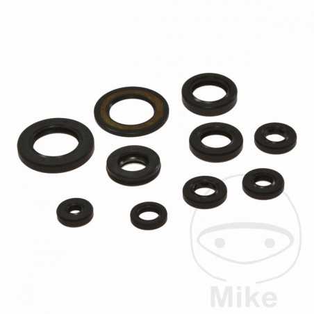 TOURMAX ENGINE SEALS KIT 735.90.94