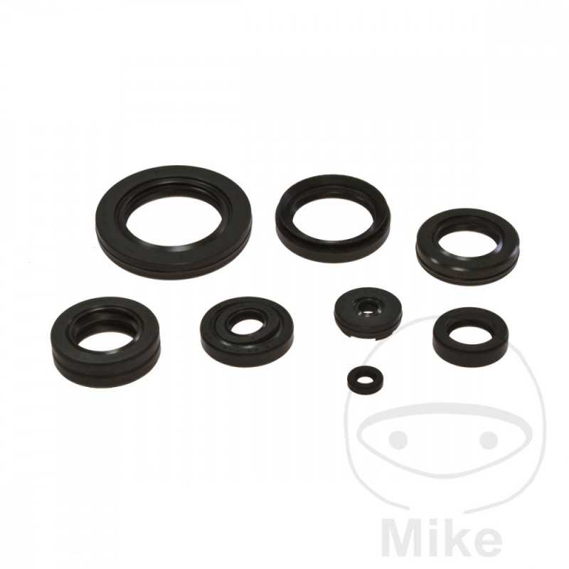 TOURMAX ENGINE SEALS KIT 735.91.51