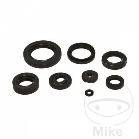 TOURMAX ENGINE SEALS KIT 735.91.51