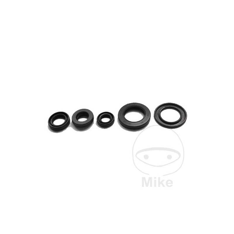 TOURMAX ENGINE SEALS KIT 735.93.67