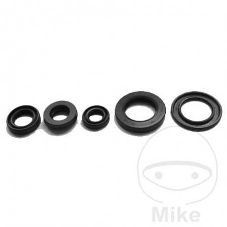 TOURMAX ENGINE SEALS KIT 735.93.67
