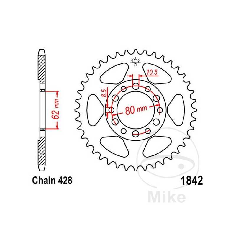 JT SPROCKETS Corona plato transmisión 49T P-428 Ø062 MM Ø080 727.09.15