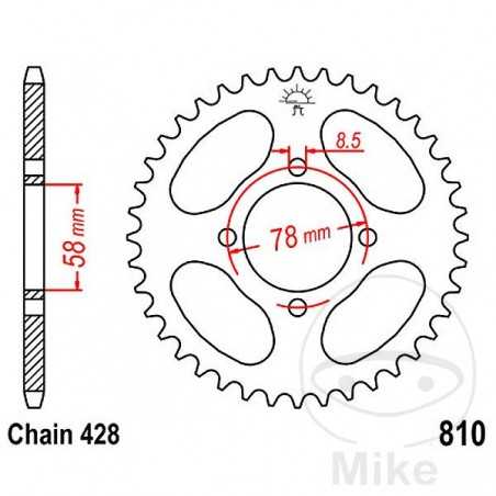 JT SPROCKETS Corona plato transmisión 49T P-428 Ø058 MM Ø078 727.41.94