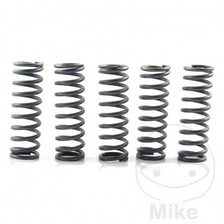 EBC reinforced clutch springs (5U) 745.00.80