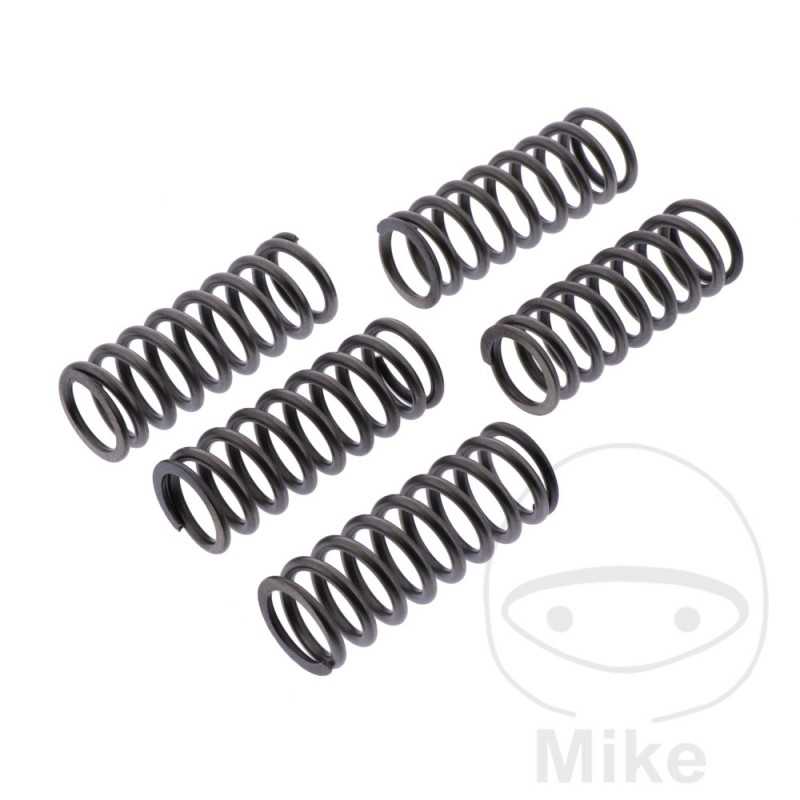 EBC reinforced clutch springs (5U) 745.05.61