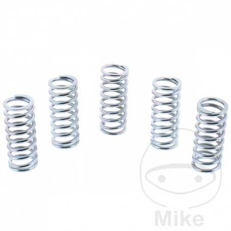 EBC reinforced clutch springs (5U) 745.90.28