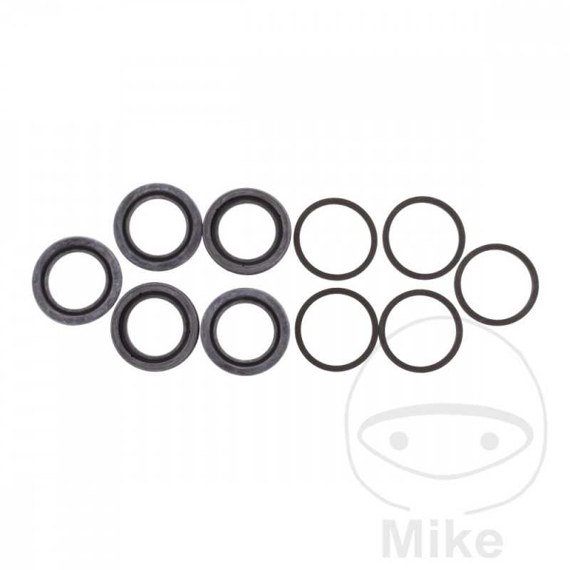 TOURMAX Kit 10 brake caliper repair gaskets 717.08.87