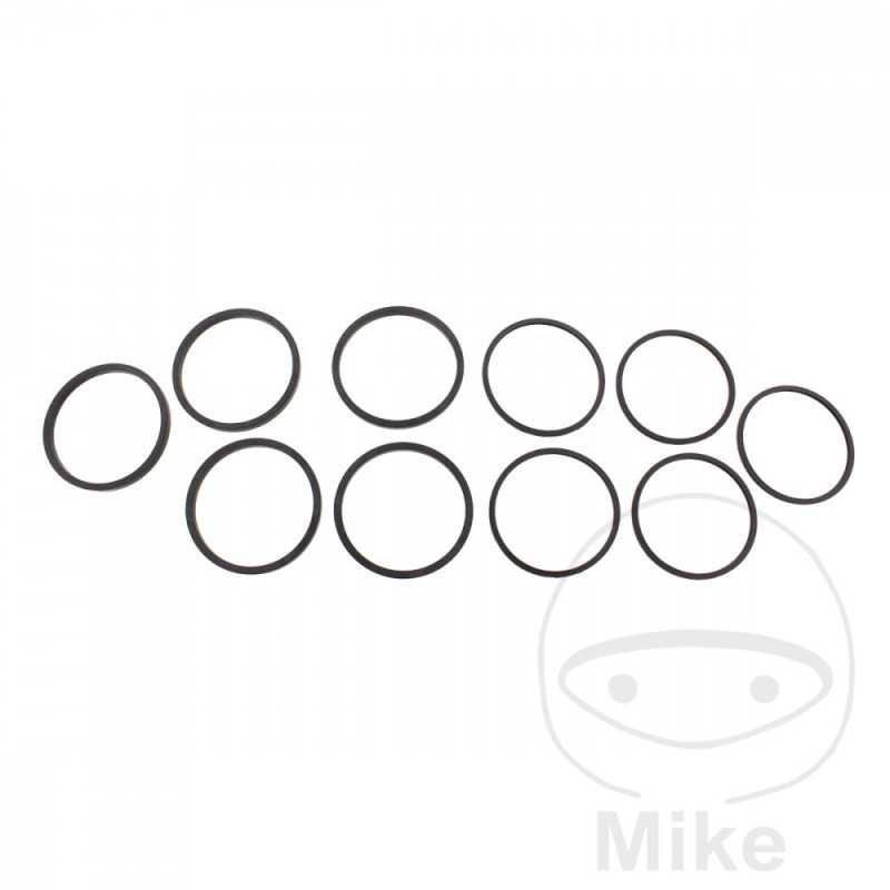 TOURMAX Kit 10 brake caliper repair gaskets 717.09.00