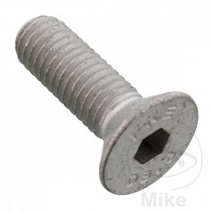 Tornillo corona plato transmision OEM M8 X 1.25 20 MM 775.50.54