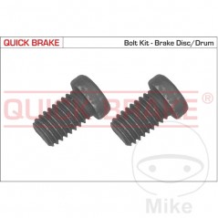QUICK BRAKE Set of bolts for disc 382.10.85