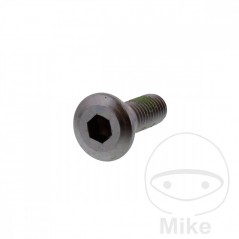 Tornillo para disco de freno OEM M8X1.25X24MM 717.02.04