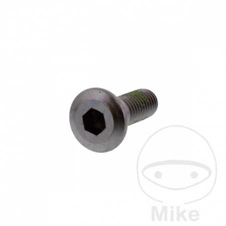 Brake disc screw OEM M8X1.25X24MM 717.02.04